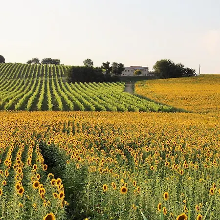 Alojamento de Acomodação e Pequeno-almoço Ceresà - 4*